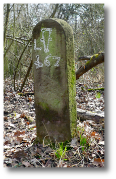 Grenzstein-Li-Leo-Nr-95-260